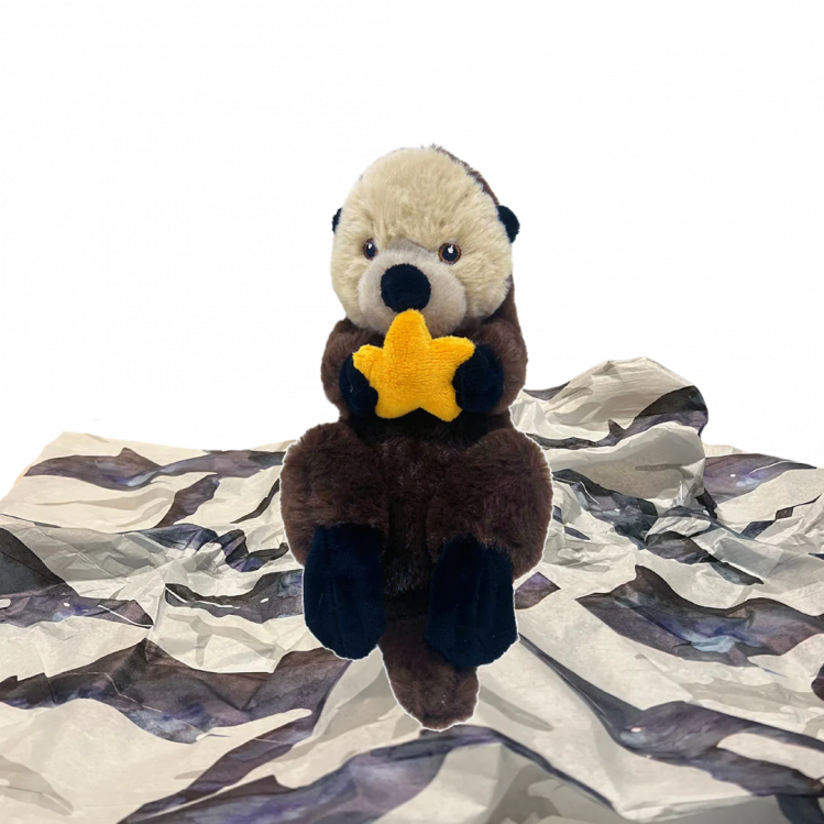 Repo Adopt-a-Seal package with plush