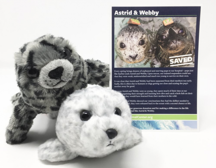 Astrid & Webby Adopt-a-Seal package with two harbor seal plushes