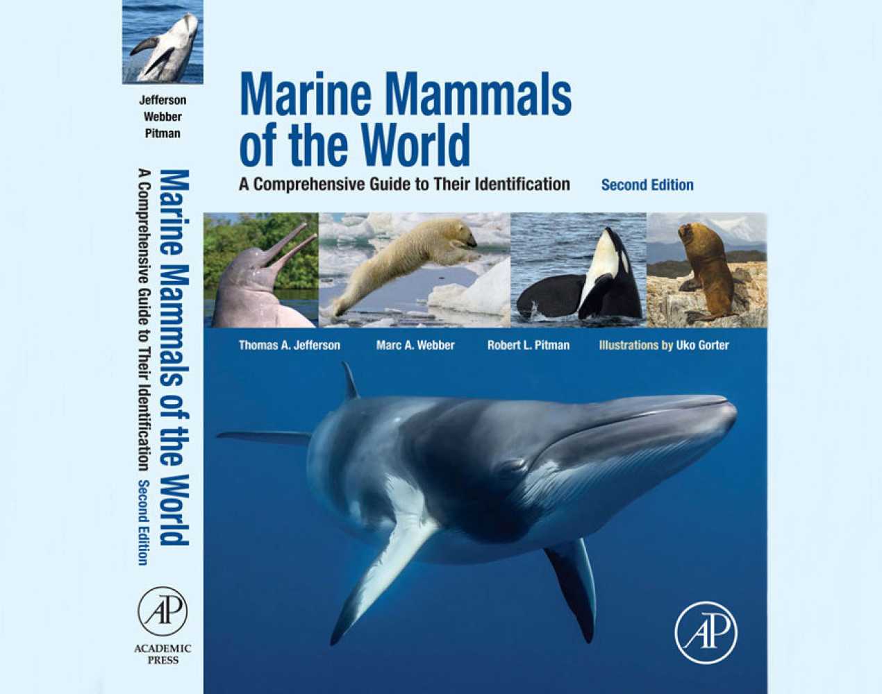 Marine Mammals of the World A Comprehensive Guide to Their