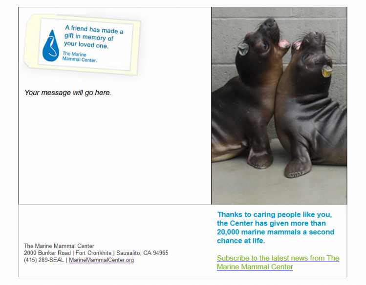 eCard with two elephant seal pups and a customizable message
