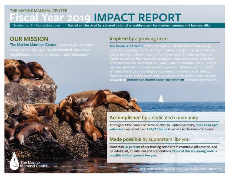 The Marine Mammal Center Impact Reports The Marine Mammal Center Impact Reports