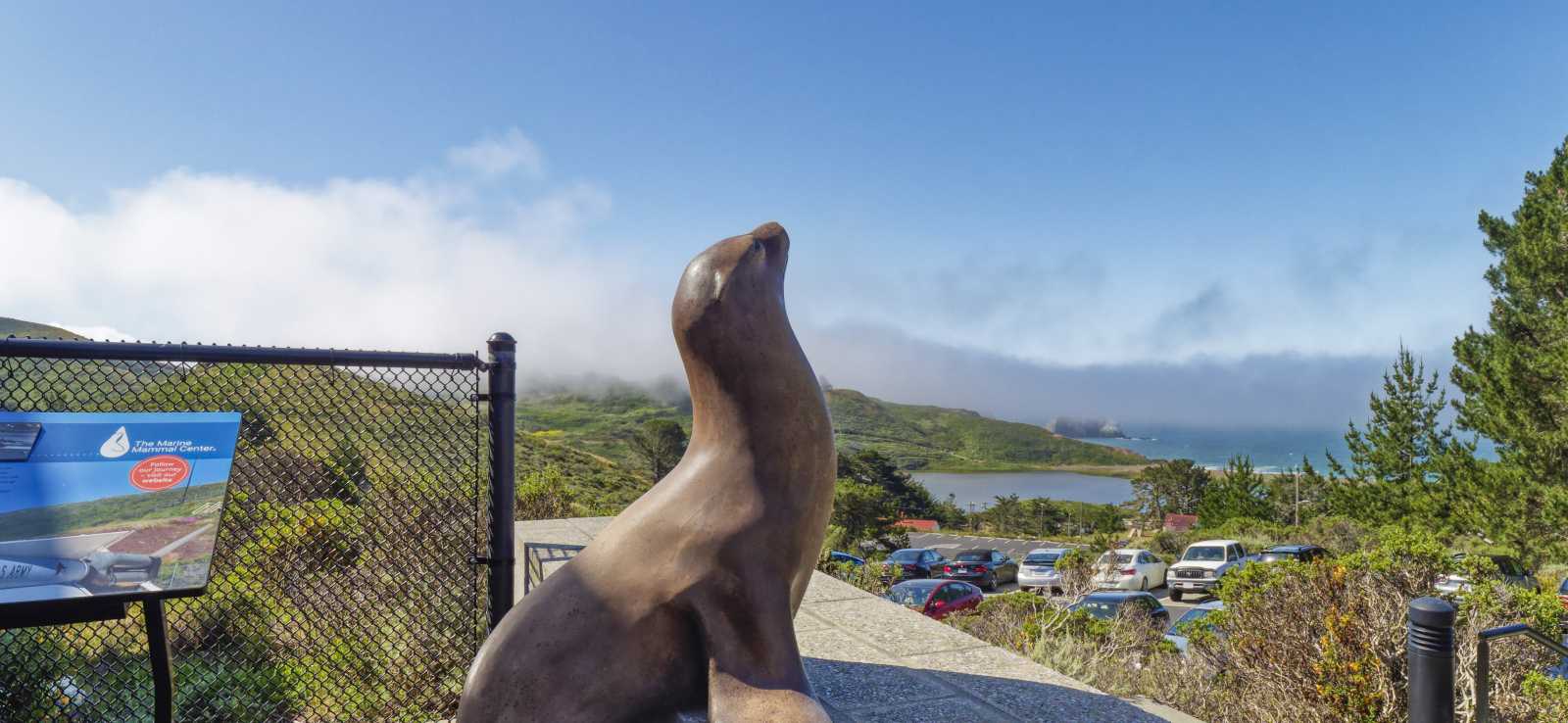 the marine mammal center front patio
