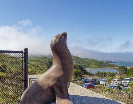 the marine mammal center front patio