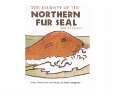 Journey of the Northern Fur Seal