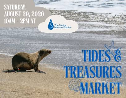 Tides & Treasures Market