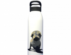 California sea lion on a white water bottle