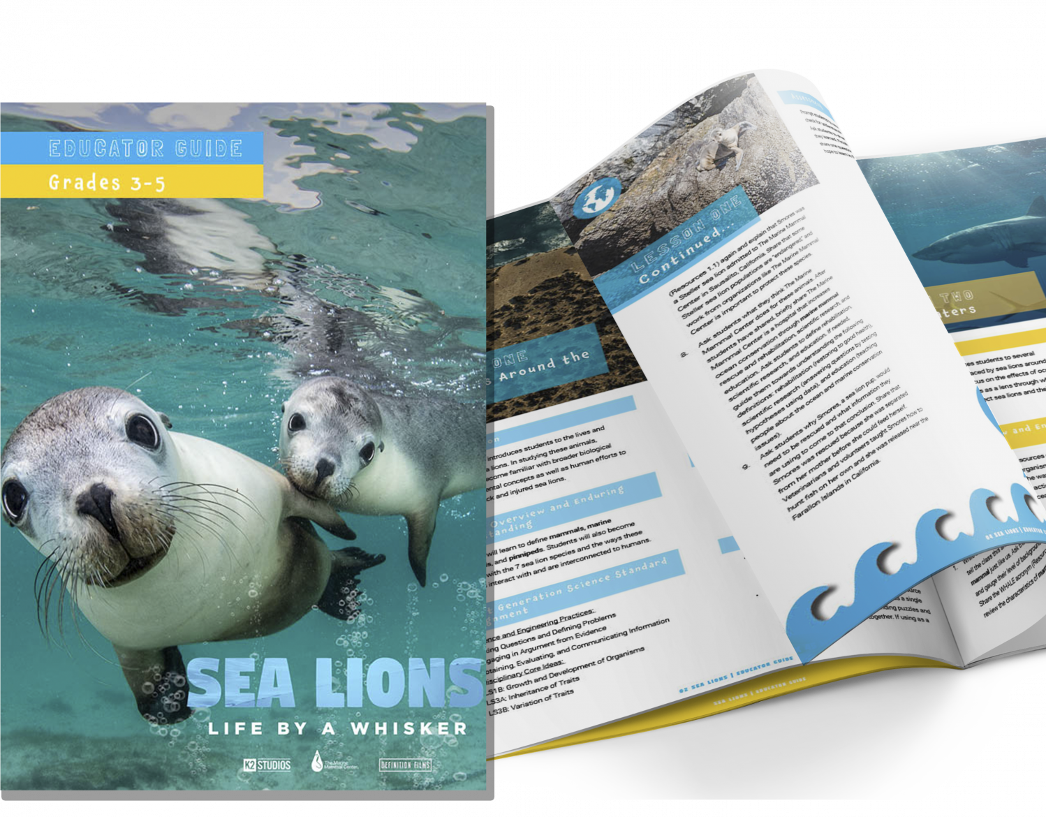 Educators | The Marine Mammal Center
