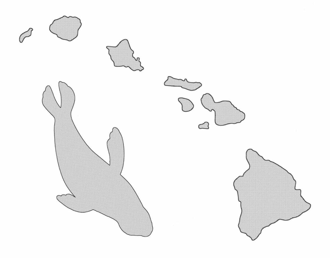 Pumpkin-Carving Stencils | The Marine Mammal Center