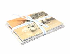 set of cards with patient images