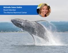 Michelle Oates Detkin