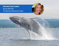 Michelle Oates Detkin