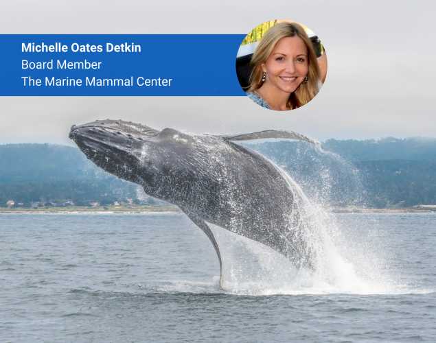 Michelle Oates Detkin