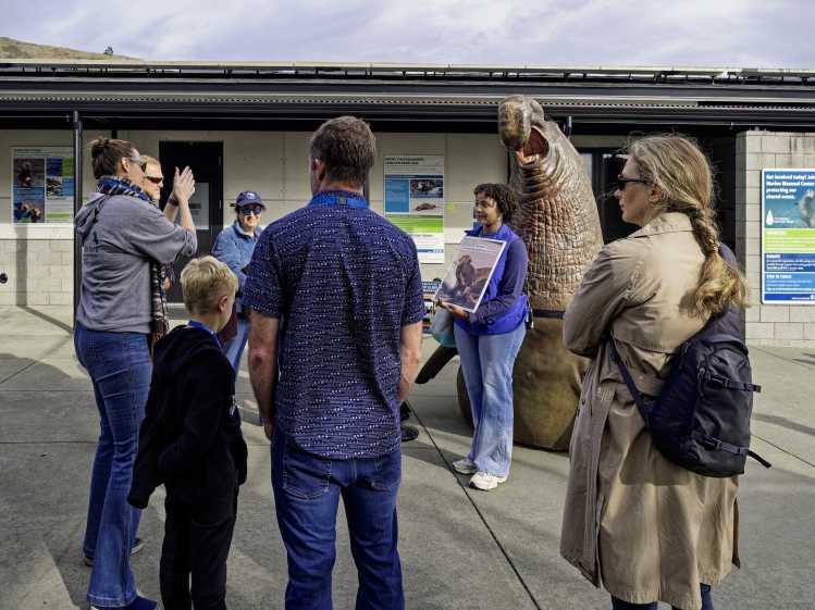 An educator shows a guest an interactive map of a marine mammal hospital.