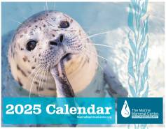 2025 calendar cover with harbor seal eating a fish