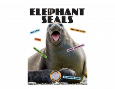 Elephant Seals X-Book
