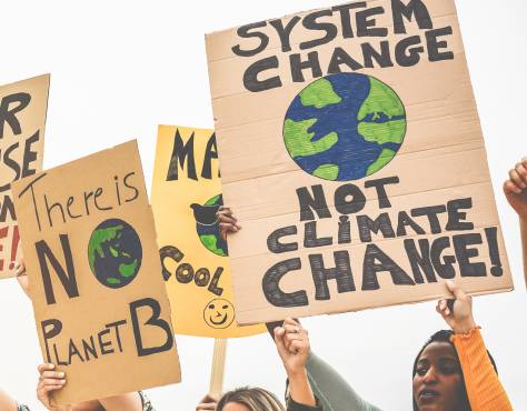 Climate Change | The Marine Mammal Center