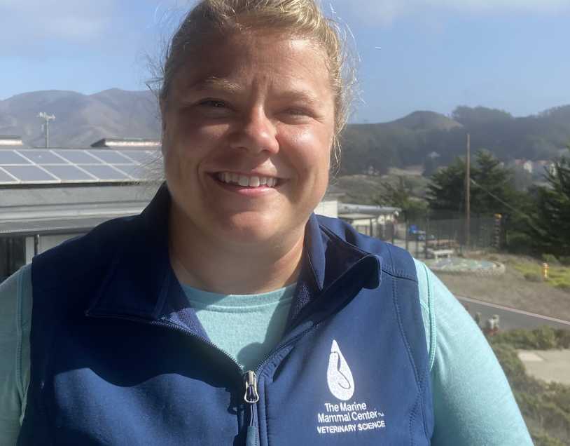 The Marine Mammal Center | Staff