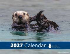 2027 calendar cover
