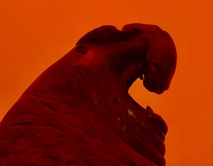 elephant seal statue illuminated by a bright orange sky
