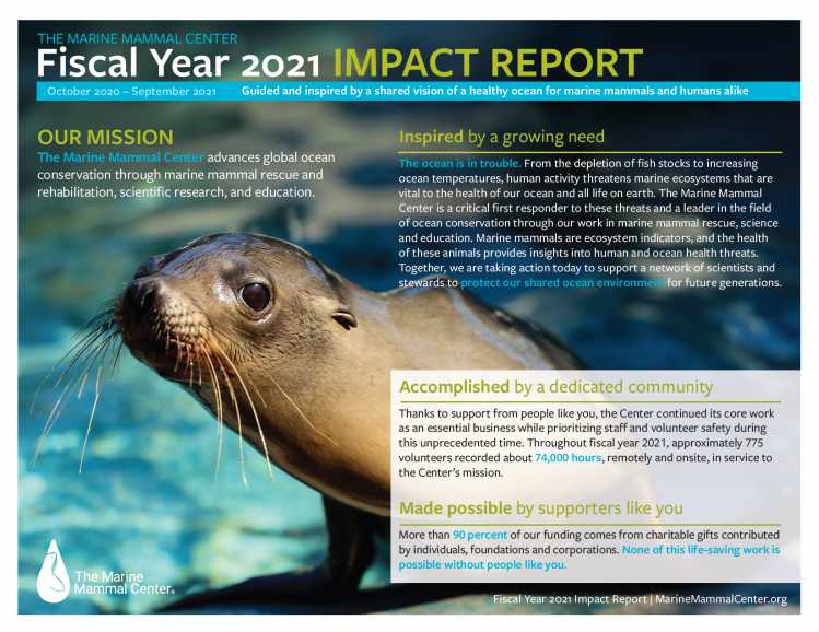 cover of 2021 impact report with text overlay on sea lion image