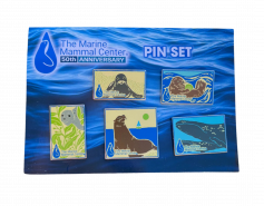 50th Anniversary Enamel Pin Set