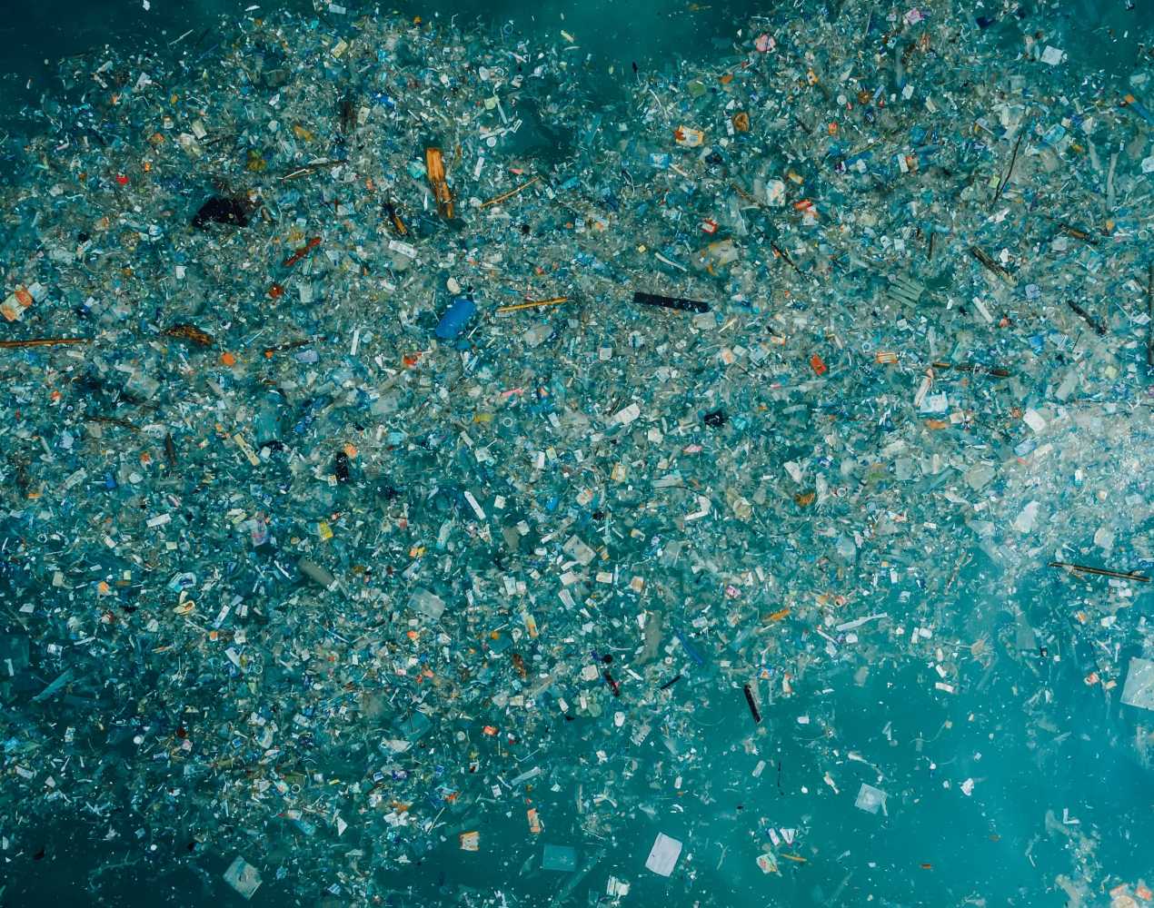 NBC Bay Area: Plastic pollution causing a sea of trouble | The Marine ...