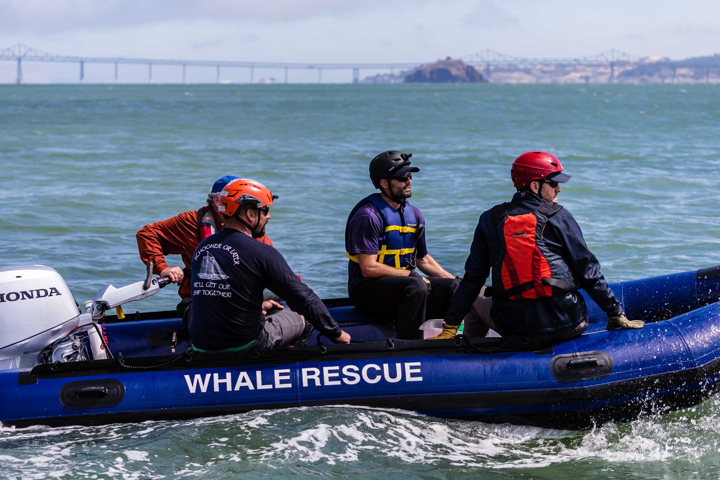 Response | The Marine Mammal Center