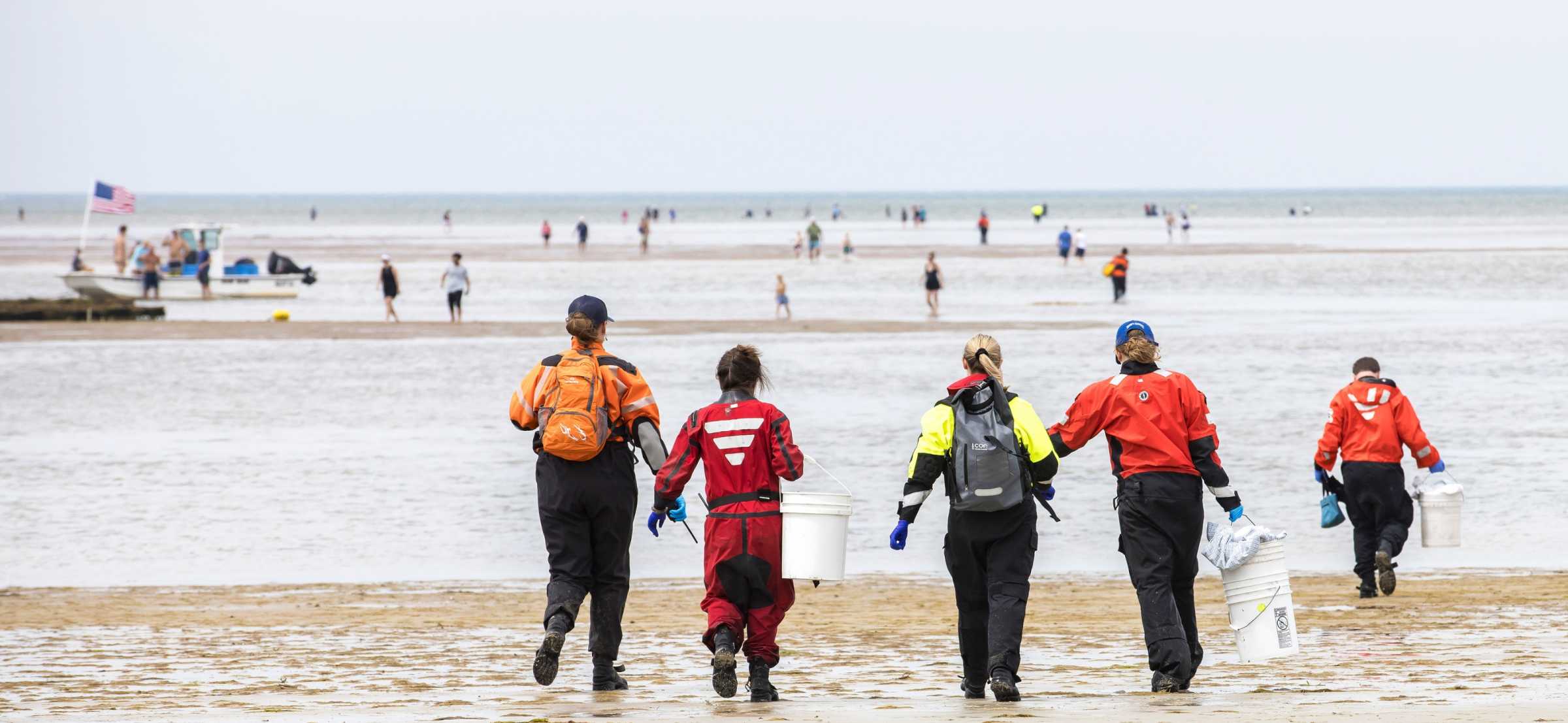 thumb__2400_1107_0_0_crop image