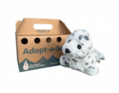 Harbor Seal Bogey Adopt-a-Seal® plush and rescue crate