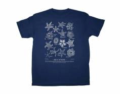 Sea Stars Short Sleeve Shirt