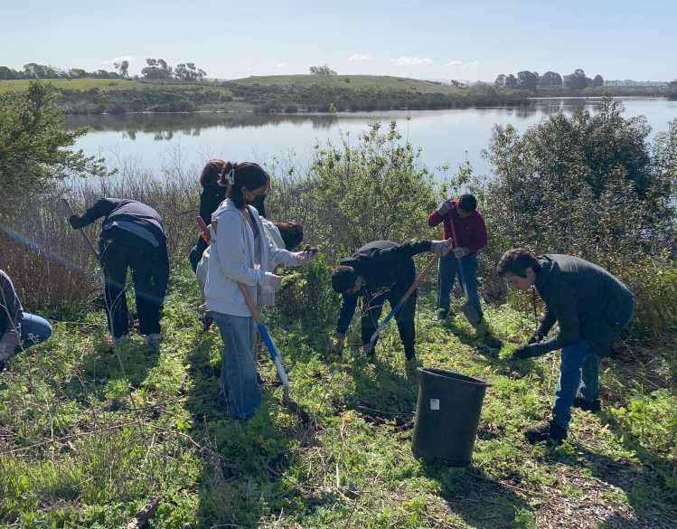 young people cleaning the shoreline