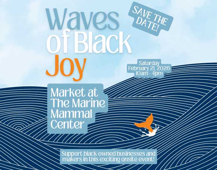 Waves of Black Joy Retail Market